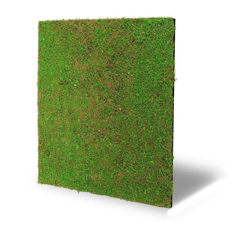 Modular Wall Flora Panel Nature Design 11106 Light Green Coconut