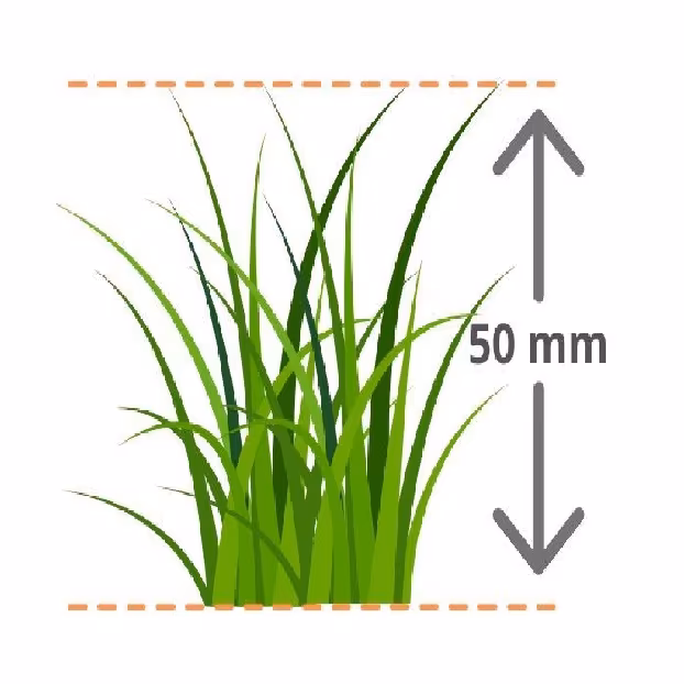 Kunstrasen Luxus-Qualität 50 mm Florhöhe Rasenteppich Wasserdurchlässig