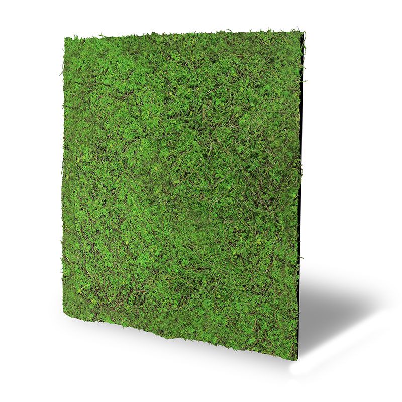 Modular Wall Flora Panel Nature Design 11107 Forest Green Ancient Tree