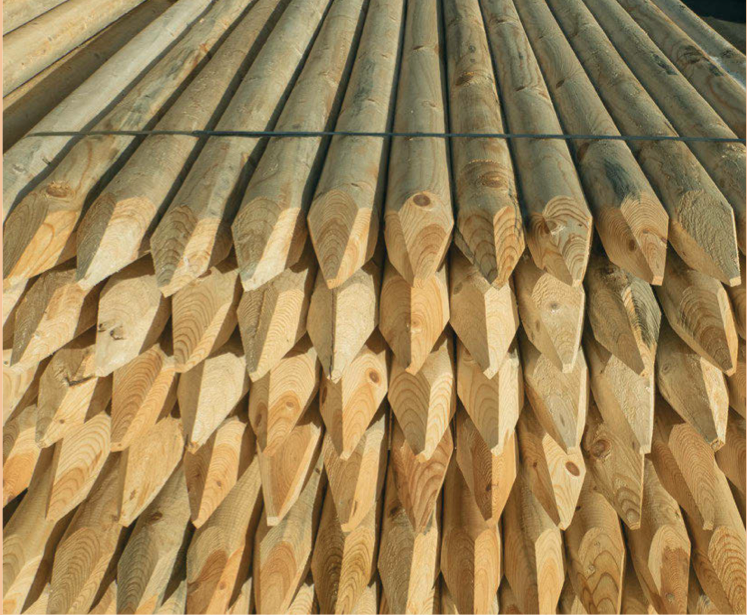 Holzpfähle Kiefer/Fichte